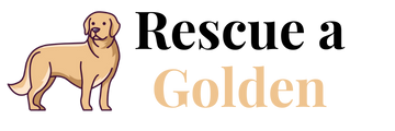 rescue a golden logo black