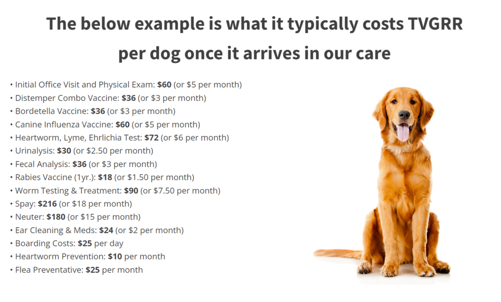 golden retriever rescue costs