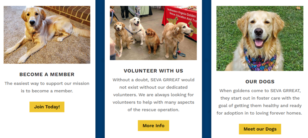 rescue a golden retriever seva grreat virginia